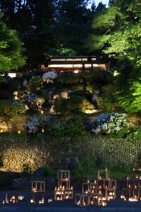 17日まで長岡市与板の「楽山苑」で20周年のライトアップ
