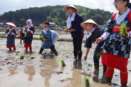  三条市立保内小学校の5年生26人が学校教育田で地域に伝わるかすりに赤たすきの早乙女姿で昔ながらの田植えを体験
