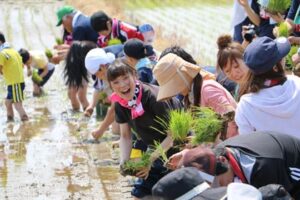 「スワローズ・ライスファーム」で田植え