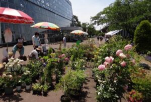 春の保内公園まつり