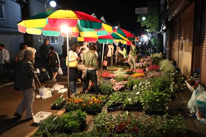  「吉田の植木祭り」の別名もあり、植木を販売する店が目立つ