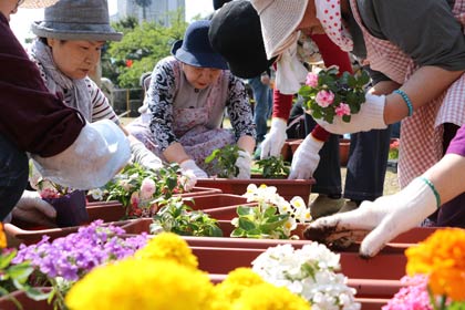 三条小学校で元町自治会と三条市による花植え