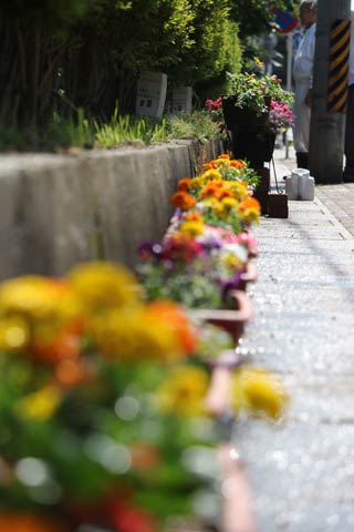 グラウンド側の道路沿いに並べたプランター