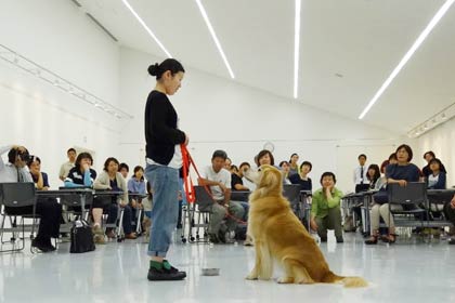 家庭犬しつけ方教室
