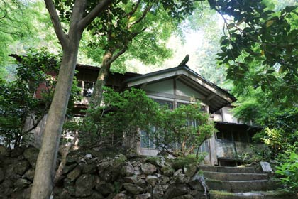  人気を集めそうな華蔵院では本堂裏手の茶室で茶会が開かれる