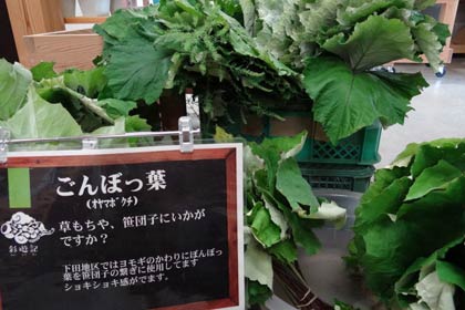  笹だんごに入っているごんぼっ葉