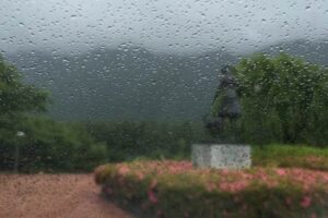 9日の三条は雨がしとしと、その割に気温は高めで梅雨のよう