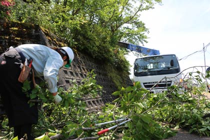 三条造園建設業協会が「県央寮」で昨冬の大雪で枝折れしたサクラのせん定のボランティア