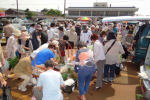 13日、ことしもスタートした「なんかん育ち軽トラ市場」