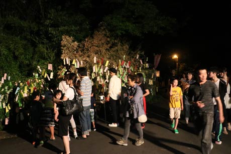 沢の入り口に設置された七夕飾り