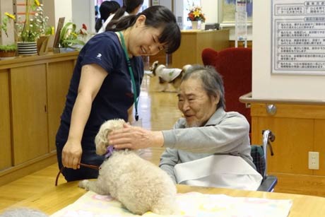 坂田動物病院が特別養護老人ホーム「白ふじの里」でアニマルセラピーのボランティア活動「CAPP訪問活動」