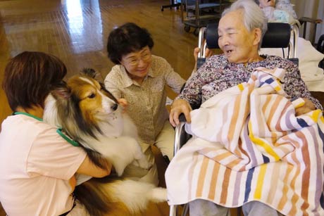 坂田動物病院が特別養護老人ホーム「白ふじの里」でアニマルセラピーのボランティア活動「CAPP訪問活動」