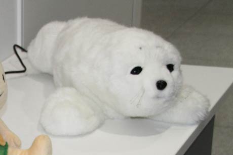 「白ふじの里」に導入するセラピー用アザラシ型ロボット「パロ」