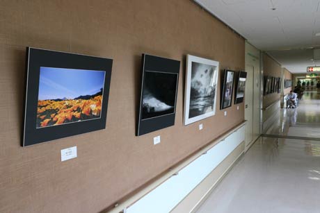 23日まで済生会三条病院で開かれている「フォトフレンズ写真展」