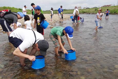 にいがた里山研究会と五十嵐川を愛する会が五十嵐川で行った生きもの調べ