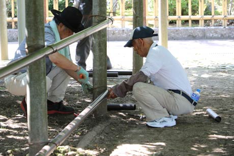  幹の回りを囲む柵もタケから単管に交換
