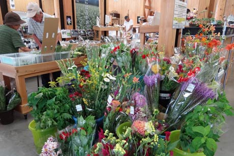 直売所の花