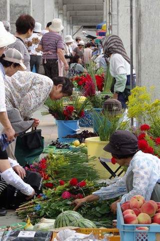 墓参りを前に盆花が人気
