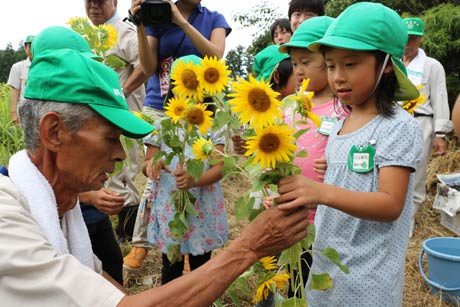 「ひまわり作戦」見学会でヒマワリの花をプレゼントしてもらう「あおい保育園」5歳児