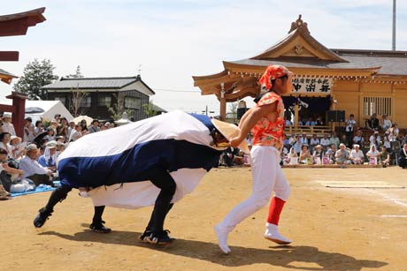 諏訪赤坂神社で奉納された下中野御神楽舞