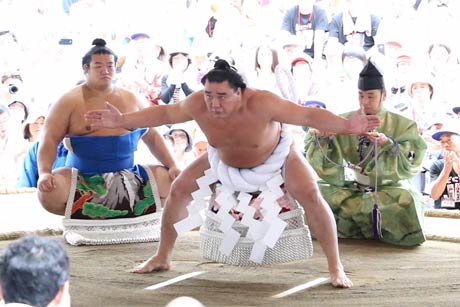 弥彦神社の相撲場開きで横綱日馬富士が土俵入り