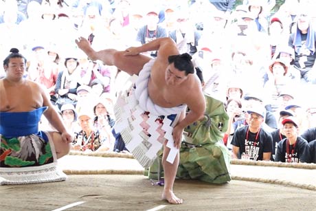  日馬富士の土俵入り