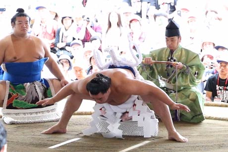  日馬富士の土俵入り