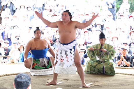  日馬富士の土俵入り