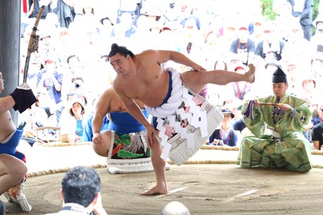  日馬富士の土俵入り