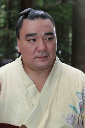 日馬富士