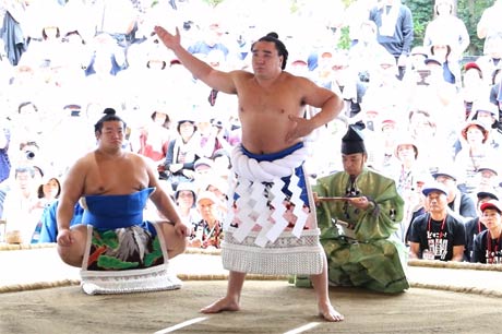  日馬富士の土俵入り