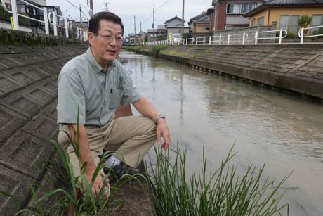 河川改修後も新通川に水草が生き残ることを願うNPO法人にいがた里山研究会理事長の小林さん