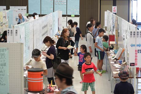 作品の展示