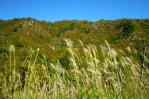 昨年秋の「秋の八十里越の県境を越えて」