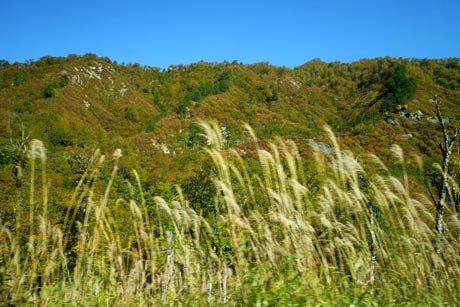 昨年秋の「秋の八十里越の県境を越えて」