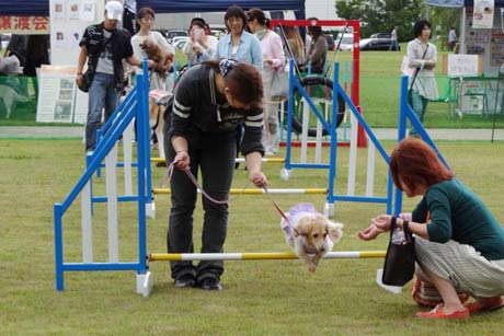 県央地区動物フェスティバル