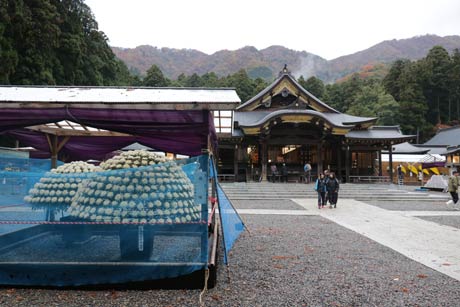 弥彦神社境内で1日から開かれる弥彦菊まつりの準備が進む