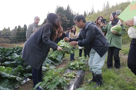 北五百川の棚田で野菜を収穫