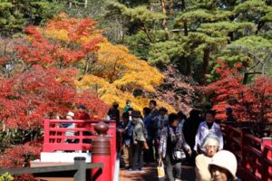 弥彦公園もみじ谷の観月橋と紅葉