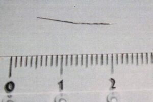 燕市立小池小学校6年生の給食に混入した金属製異物