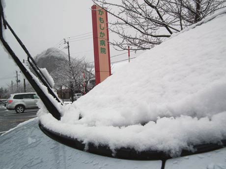前夜からかもしか病院駐車場にとめてあった車のフロントガラスに積もった雪