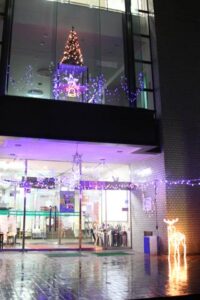 クリスマスイベント「まちなか雪と灯りのコンチェルト」に向けて三条市中央公民館前を1万球の電球を使ったイルミネーションで彩る