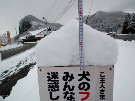 約20センチの積雪