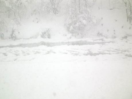 五十嵐川が雪に覆われて川面が見えなくなった珍しい光景