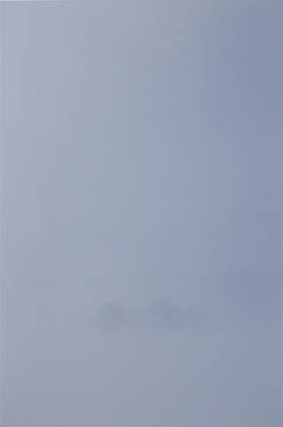  「心で観たハザ木」