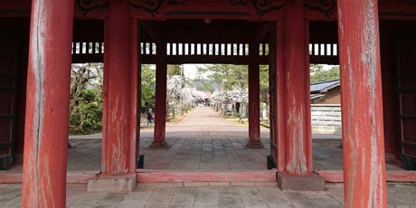 けろけーろさんが6日午後0時半から1時ころまで三条市の本成寺と金子新田工業団地で撮影。