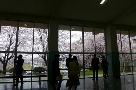 今日の弥彦小学校。あいにくの雨模様でしたけど、入学式が終わってひと息ついてるところですね