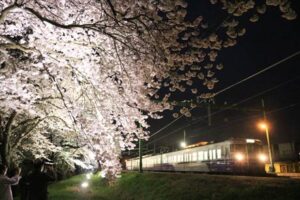 分水駅のサクラ並木のライトアップ
