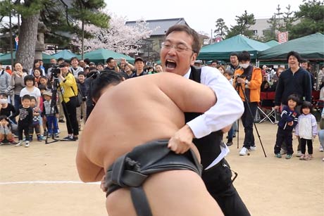 三条マルシェで宝龍山と対戦して寄り切って勝利した国定市長