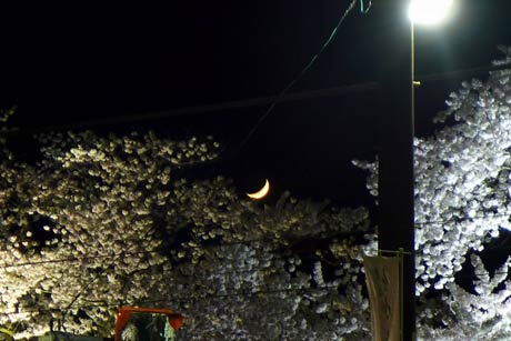  今日は寒い(>_<)。でも、夜も桜探しへ。分水駅で月と桜撮れました。